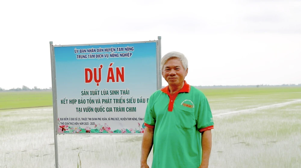 lúa sinh thái kết hợp bảo tồn Sếu đầu đỏ