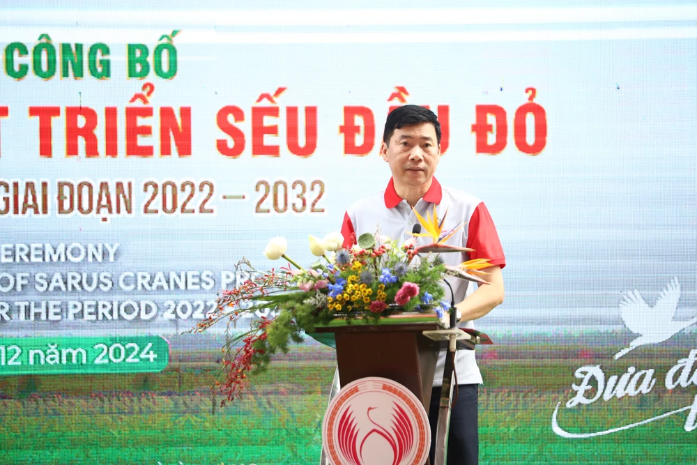 sếu đầu đỏ vườn quốc gia tràm chim