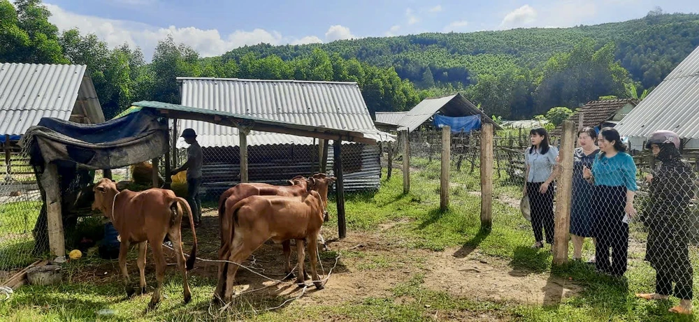công tác giảm nghèo tỉnh bình định