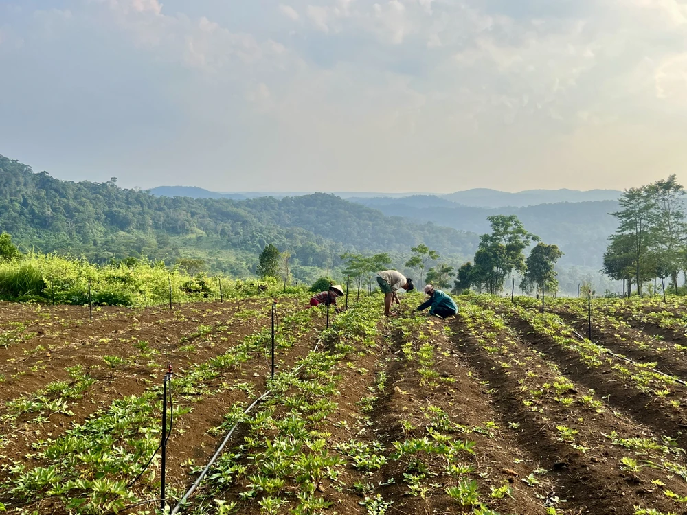 công tác giảm nghèo tỉnh bình định