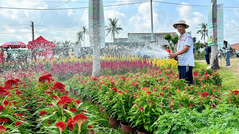 Hoa - Kiểng Chợ Lách