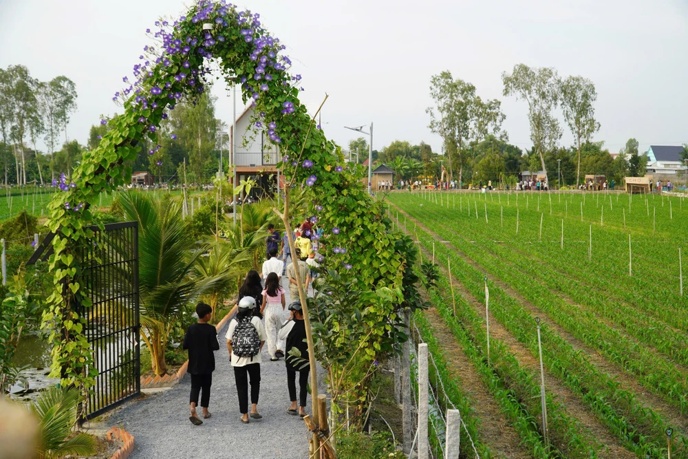 chợ phiên xóm rẫy đồng tháp