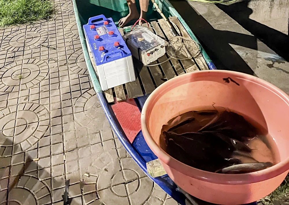 dùng xung điện bắt cá