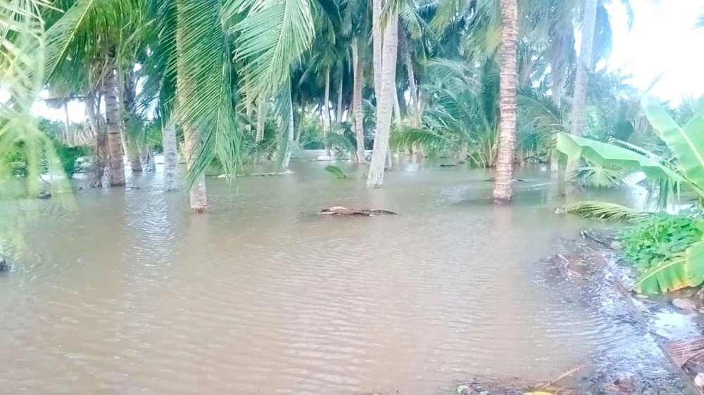 sạt lở đê bao,trà vinh,cồn hô