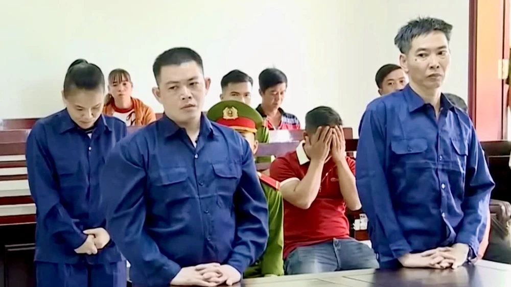 trộm cắp tài sản,cây mai tiền tỉ