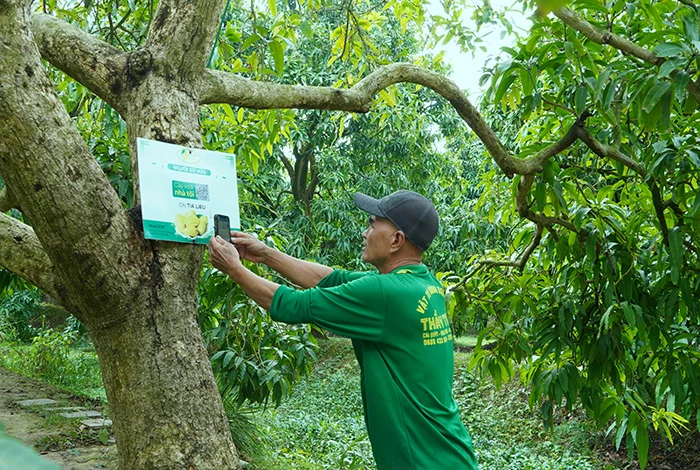 nông thôn mới nâng cao,huyện cao lãnh