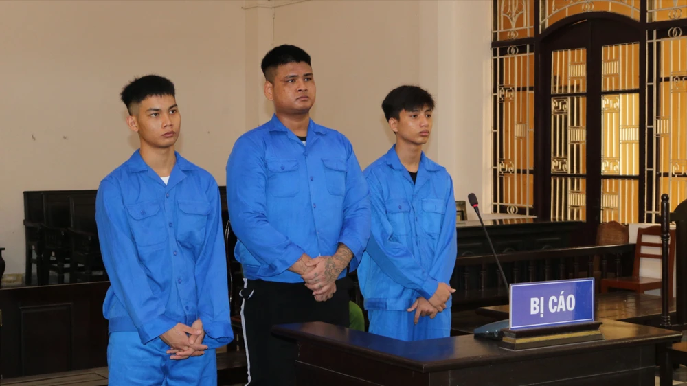 sử dụng trái phép chất ma tuý,trà vinh