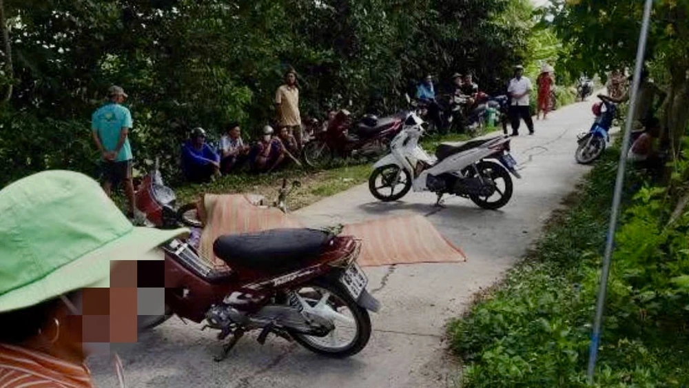 đi làm vườn,đâm tử vong,đồng tháp