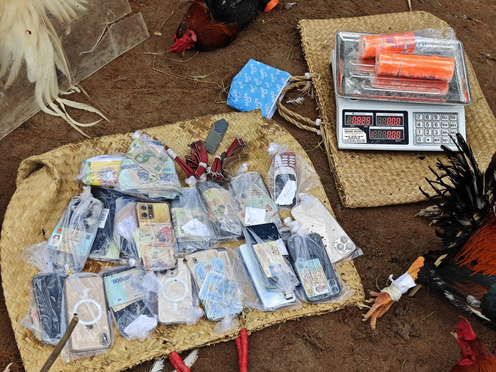 triệt phá trường gà