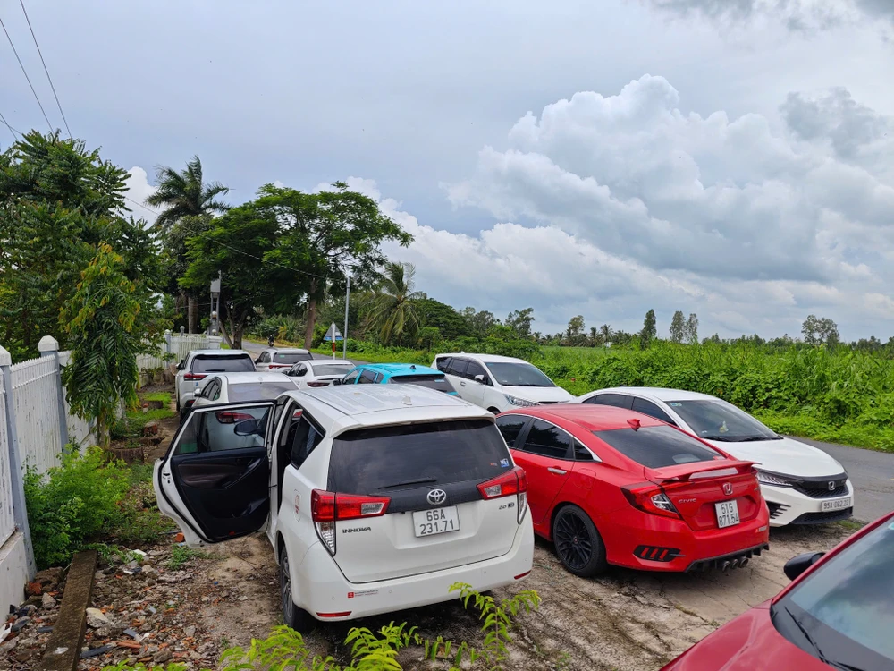 triệt phá trường gà