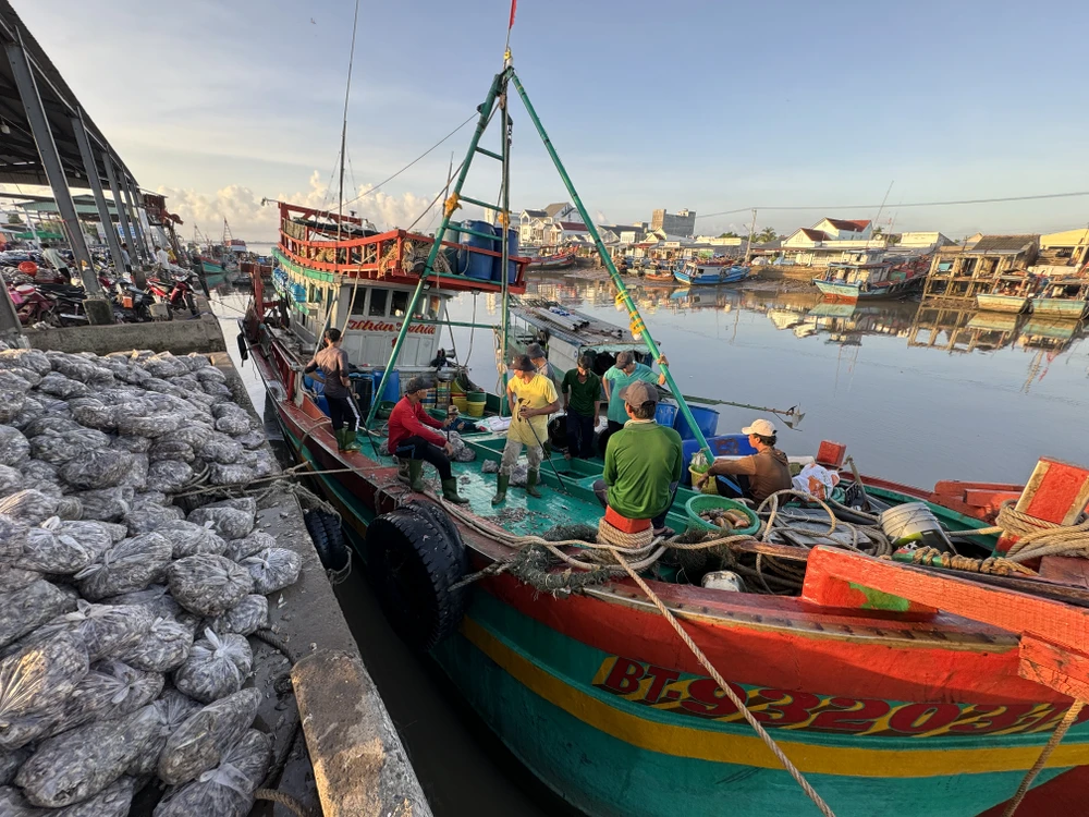 cảng cá định an