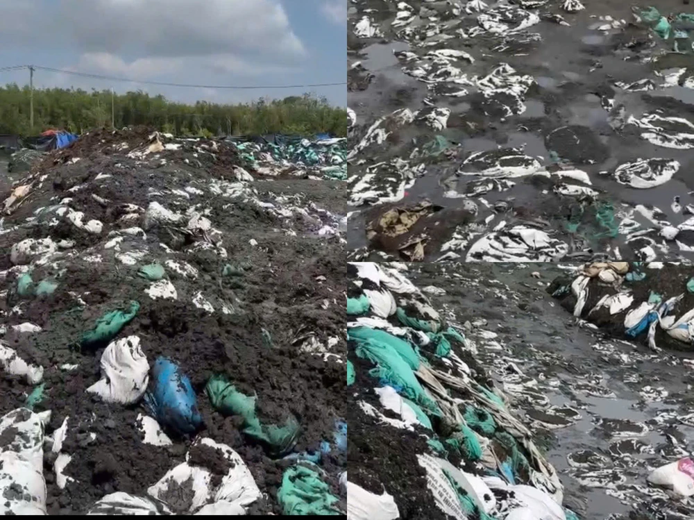 gây ô nhiễm môi trường,chất thải công nghiệp