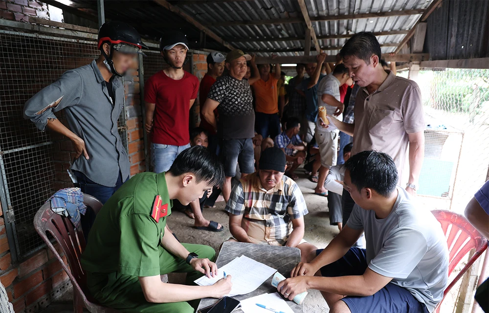 đá gà ăn thua bằng tiền