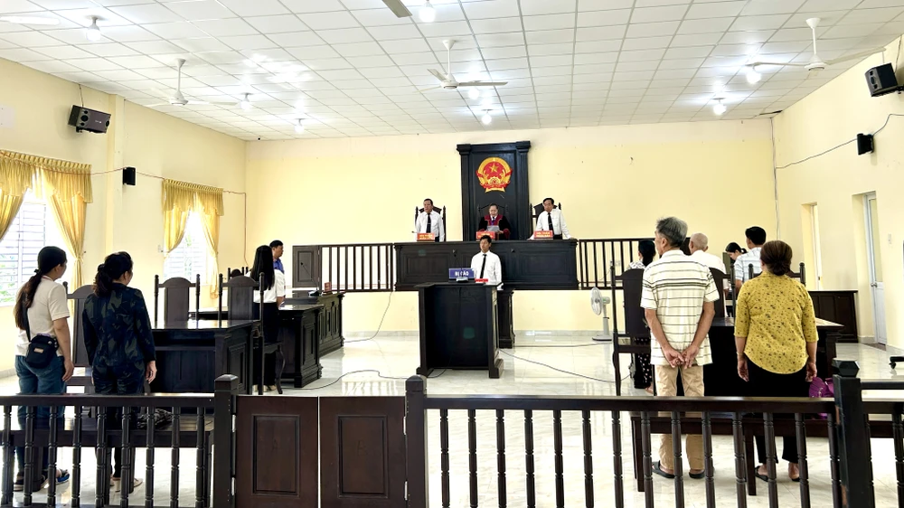 cụ bà 87 khởi kiện đòi lại đất vì cho rằng cháu nội không phụng dưỡng