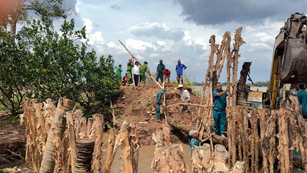 vỡ đê,triều cường,vĩnh long,lũ đầu nguồn