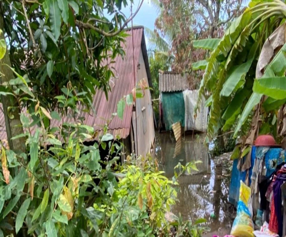 nước ngập nhà,điện giật,đồng tháp