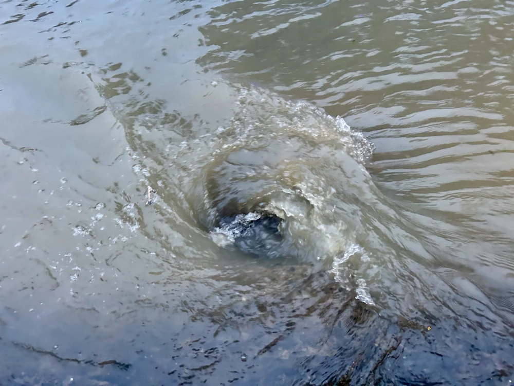 triều cường,cần thơ,chống ngập