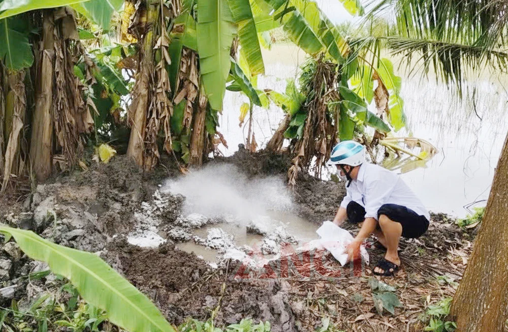 Cần Thơ: Bắt tạm giam 3 cán bộ Thú y liên quan vụ thịt heo nhiễm dịch tả lợn châu Phi