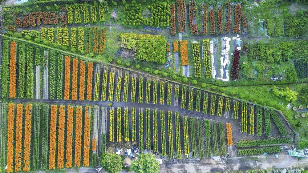 Du lịch Đồng Tháp