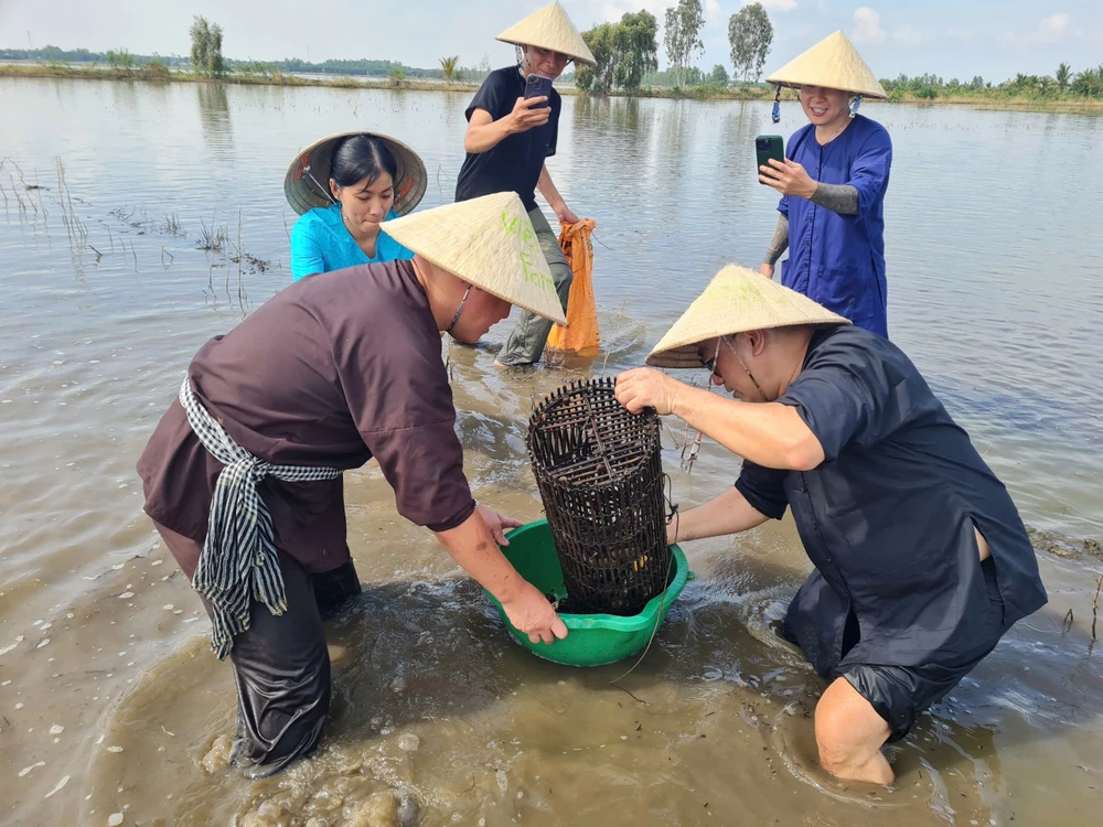 du lịch đồng tháp