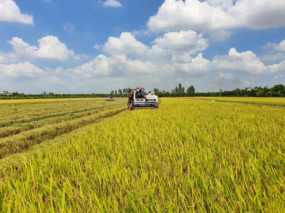 Đồng Tháp: Nông nghiệp xanh làm trụ đỡ, công nghiệp tăng tốc dẫn dắt tăng trưởng