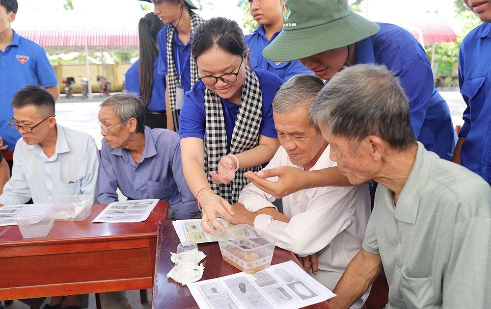 phân hữu cơ,nông dân,vĩnh long,trồng dừa,đại học trà vinh,sinh viên,phụ phẩm nông nghiệp