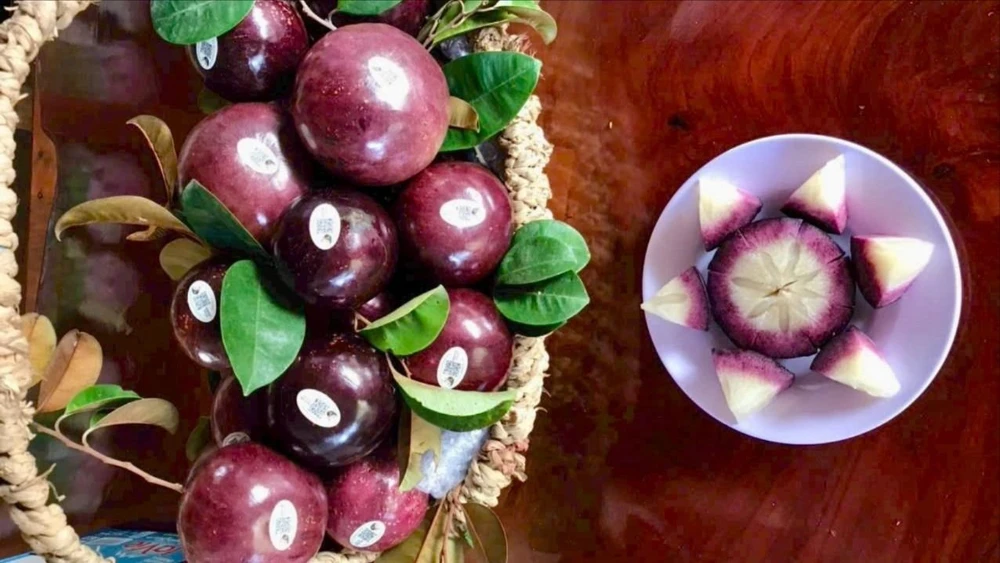 giống vú sữa có thể ăn được cả vỏ.