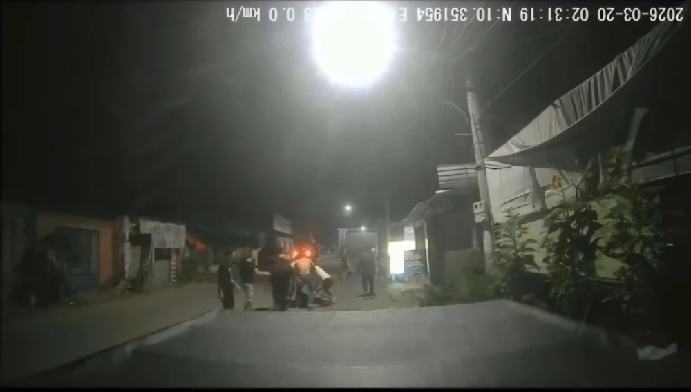 đồng tháp,sầu riêng,gây rối,rượt đuổi