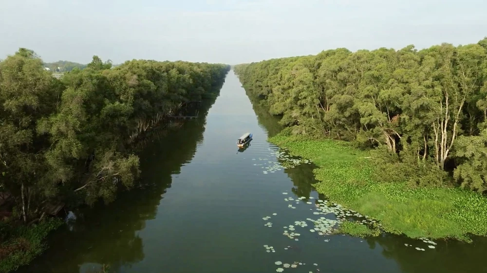 đồng tháp,sếu đầu đỏ,Vườn Quốc gia Tràm Chim,khu Ramsar