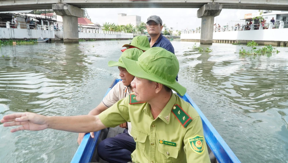 Vĩnh long,cá sấu nổi,sông tiểu cần,ảnh chỉnh sửa,Al