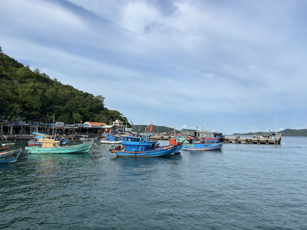 Nuôi cá,lồng bè,nam du,vốn tín dụng,an giang,Agribank