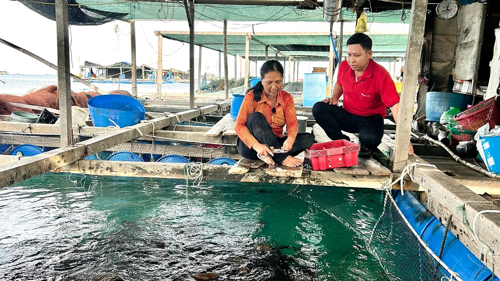 Nguồn vốn tín dụng là bệ đỡ để gia đình bà Hoa tiếp tục tham gia và phát triển nghề nuôi biển