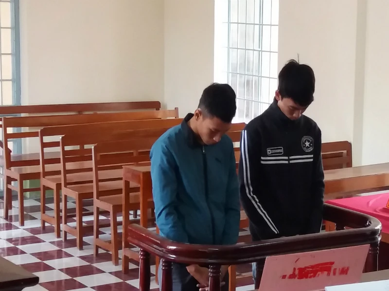 Tham lam, nam sinh viên vướng vòng lao lý