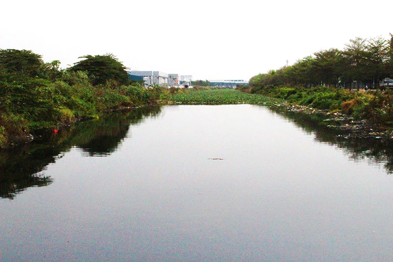 'Đường còn nguyên xi, mỗi năm bỏ 100 triệu làm gì?' ảnh 2