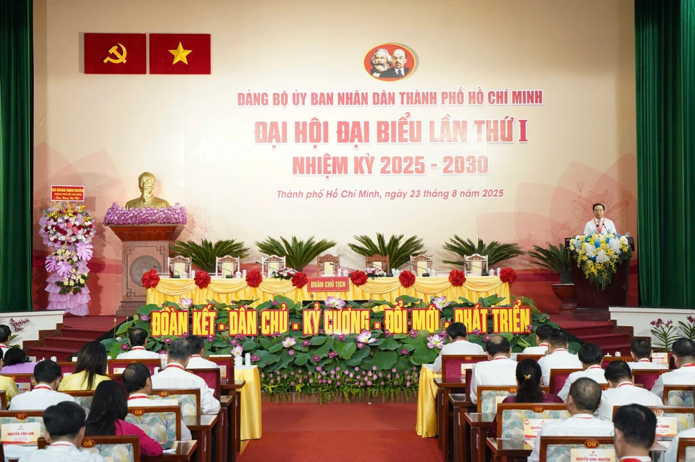 dai-hoi-dang-bo-ubnd-tp.hcm-4.jpg