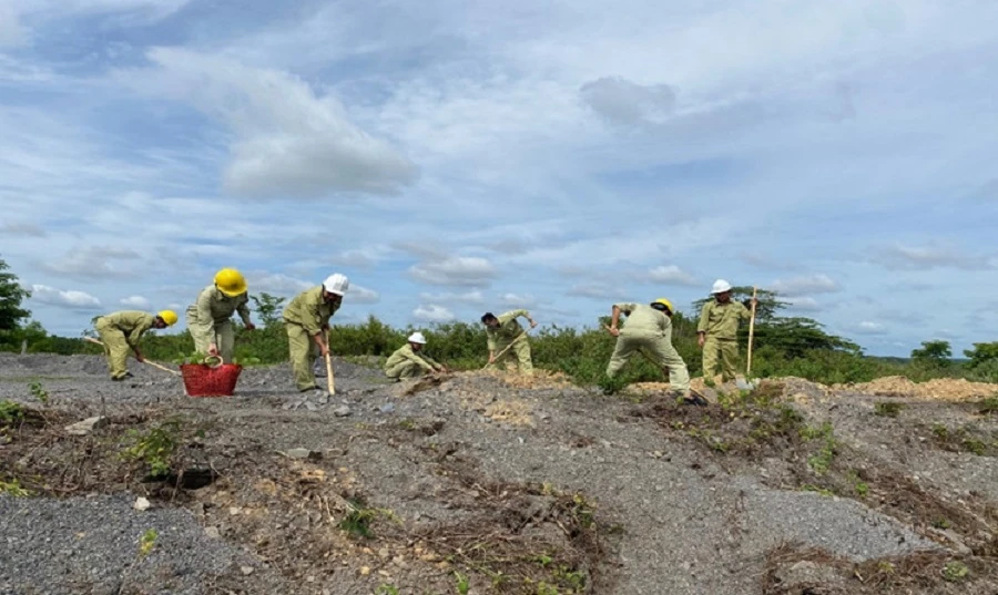 Các Đoàn viên Công đoàn đang trồng cây