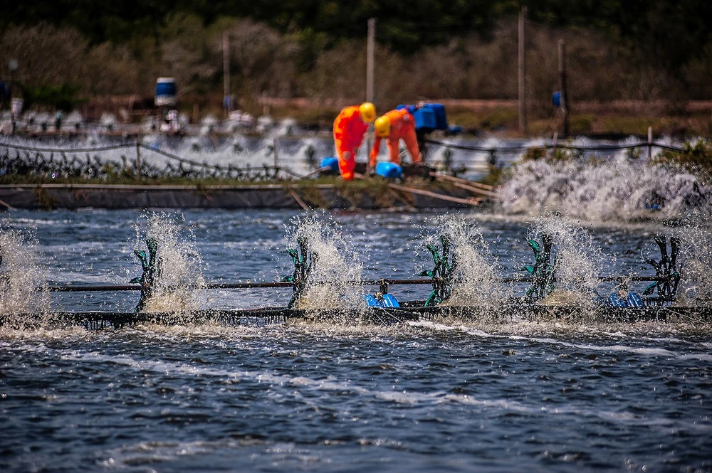 Tăng cường cấp điện phục vụ tưới tiêu chống hạn mặn tại một số tỉnh ĐBSCL.