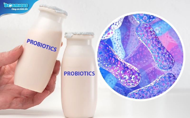 Men vi sinh - Probiotics cho bé tiêu chảy