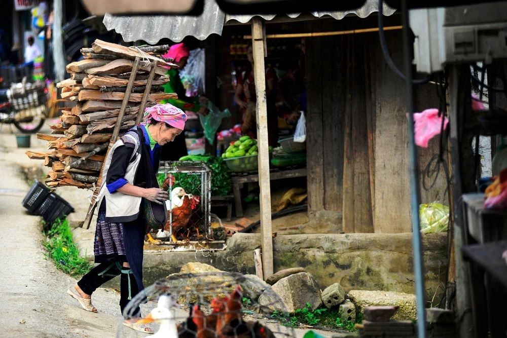 Du lịch Sa Pa: Cuộc chuyển biến thần kỳ từ hệ thống cáp treo kỷ lục