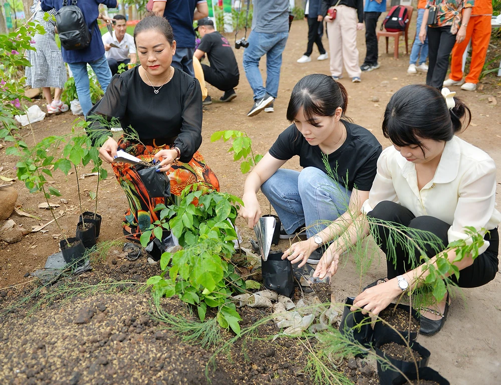 Công ty VWS tài trợ 5.000 cây xanh Vì biển đảo, vì Việt Nam xanh