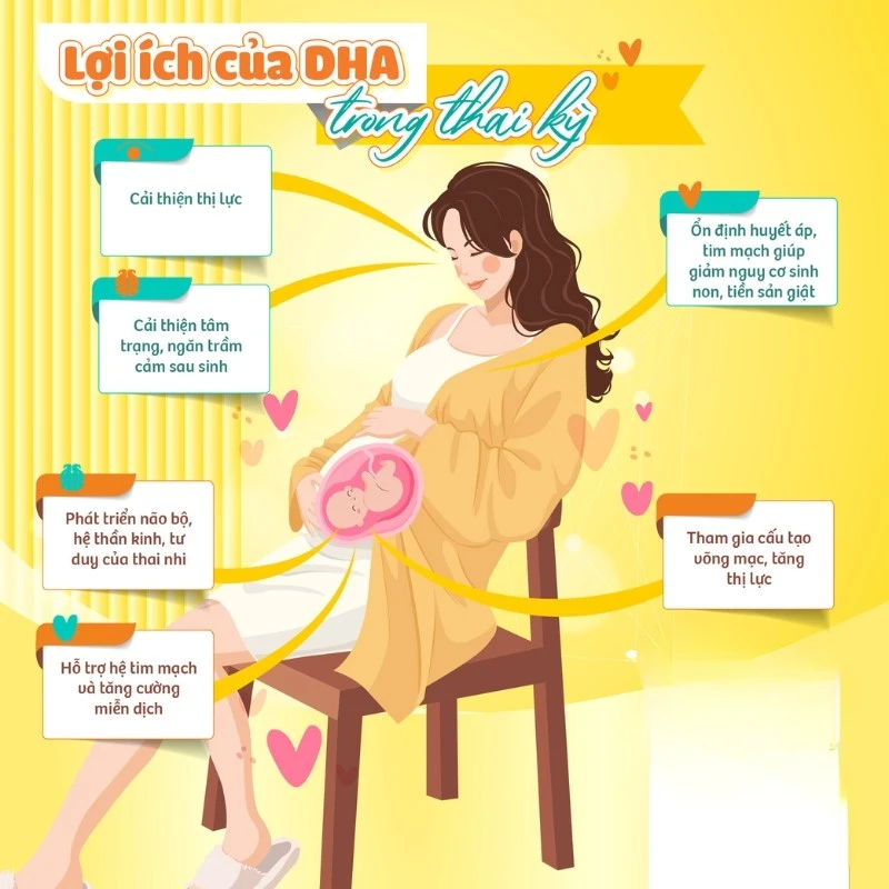 Bổ bầu EU Aplicaps - Giải pháp dinh dưỡng toàn diện cho thai kỳ