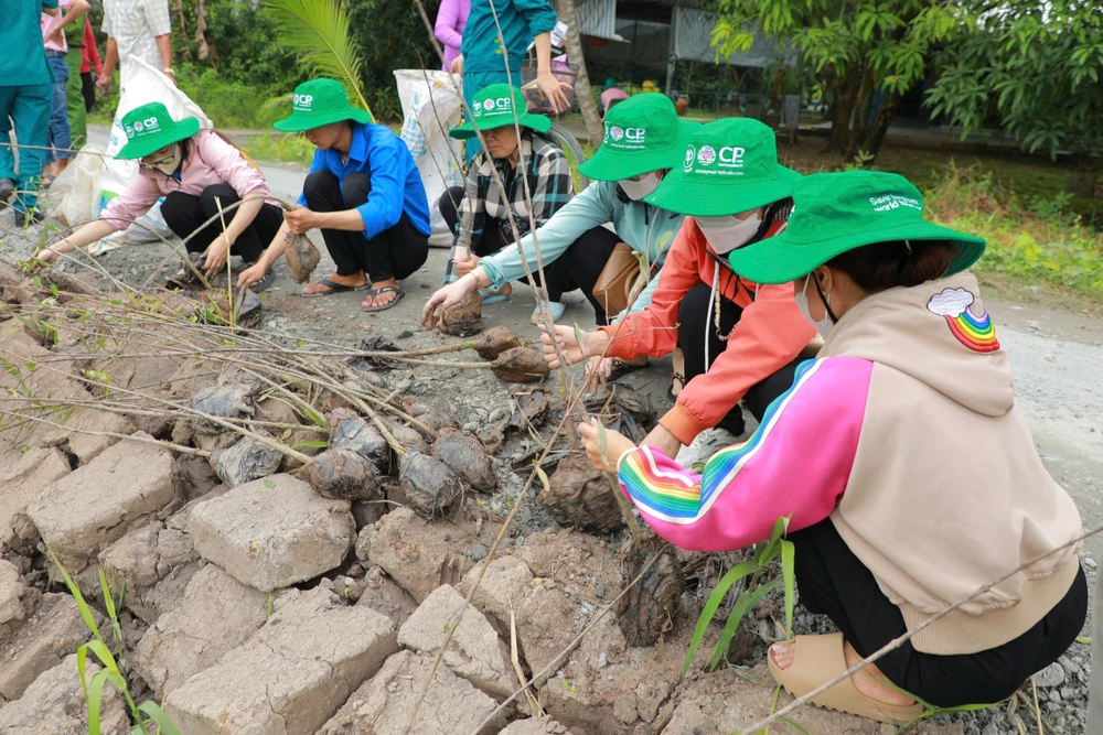 CP Việt Nam đồng hành cùng Đồng Tháp xây kè xanh giữ đất, chống sạt lở