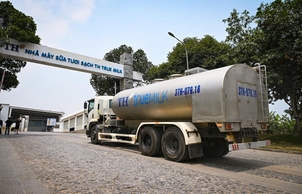 Tập đoàn TH thống lĩnh thị trường sữa tươi Việt Nam