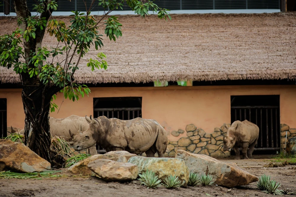 khai-truong-vinwonders-vu-yen-tam-diem-vui-choi-giai-tri-va-vuon-thu-lon-nhat-mien-bac (6).jpg