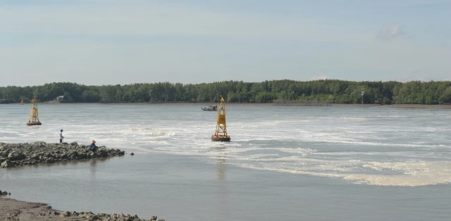 Một đoạn sông Thị Vải nổi bọt màu vàng ảnh 1