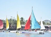 Bà Rịa-Vũng Tàu khai mạc giải đua thuyền buồm 2019