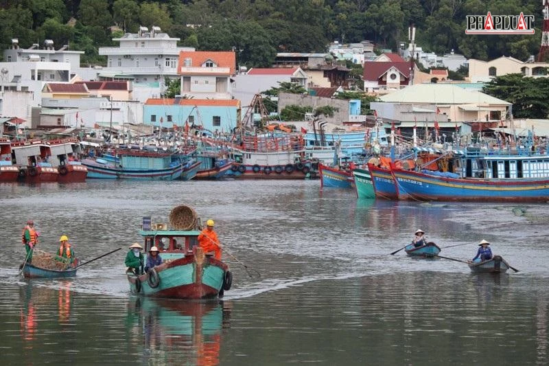 Một góc dòng kênh Bến Đình đoạn qua phường 5, TP Vũng Tàu-Ảnh:TK