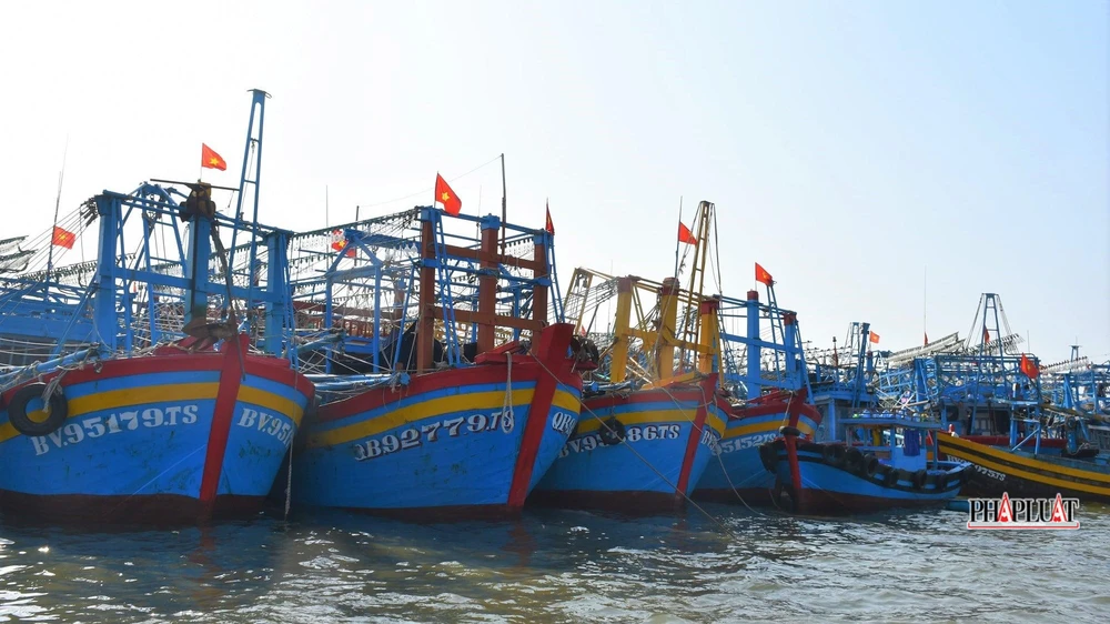 Tàu cá neo đậu tại cảng cá Bến Lội- Bình Châu, huyện Xuyên Mộc, Bà Rịa- Vũng Tàu-Ảnh:TK