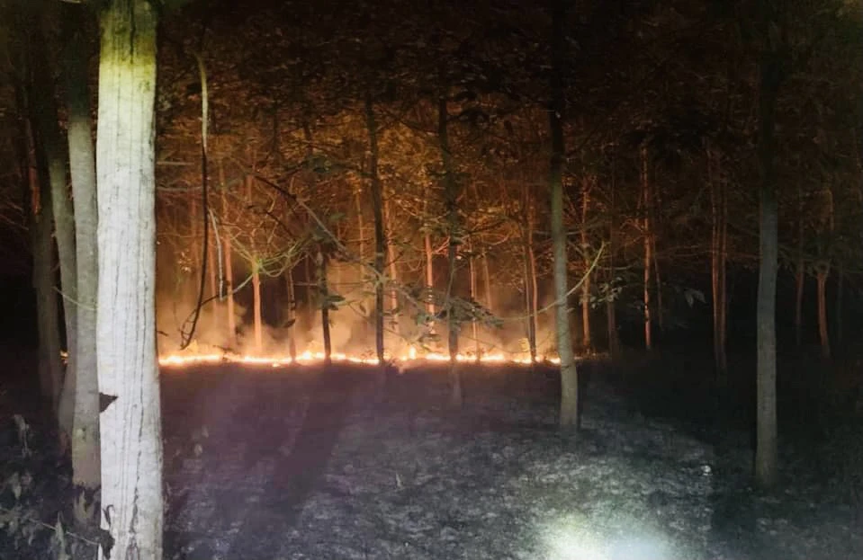 Hiện trường vụ cháy. Ảnh: ĐT