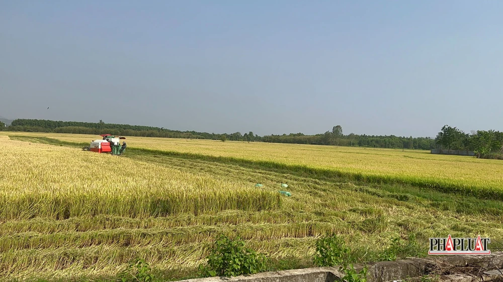 Bàn giao đất dự án cao tốc Biên Hòa-Vũng Tàu